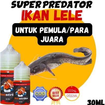 [REKOR PANEN TERCEPAT] Essen Ikan Lele Susah Makan,Essen Ikan Lele Babon,Essen Ikan Lele Liar,Essen 