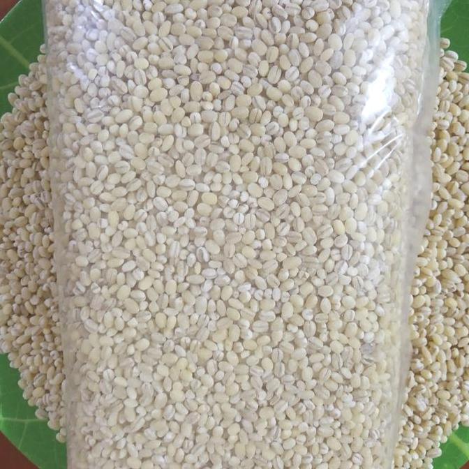 Biji Jali-Jali Pearl Barley 500 Gram Import Holland