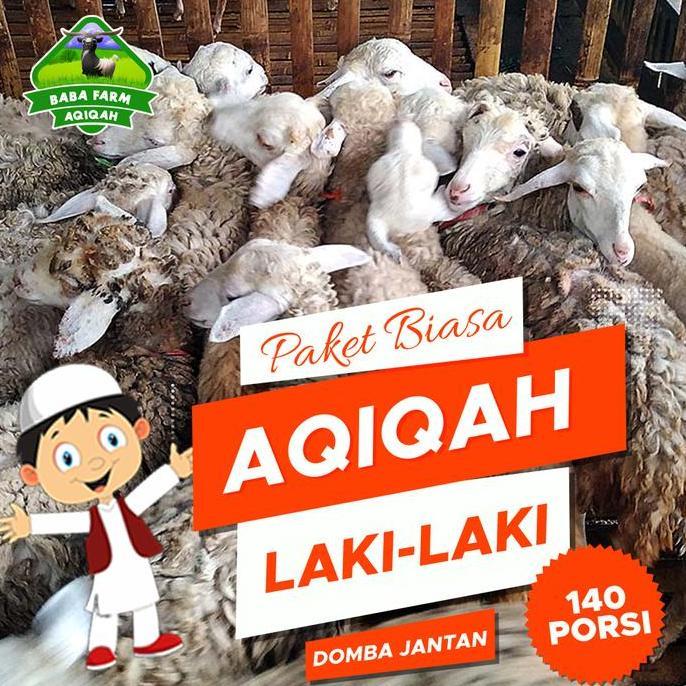Terlaris Aqiqah Paket Biasa C Laki-Laki (Domba Jantan)