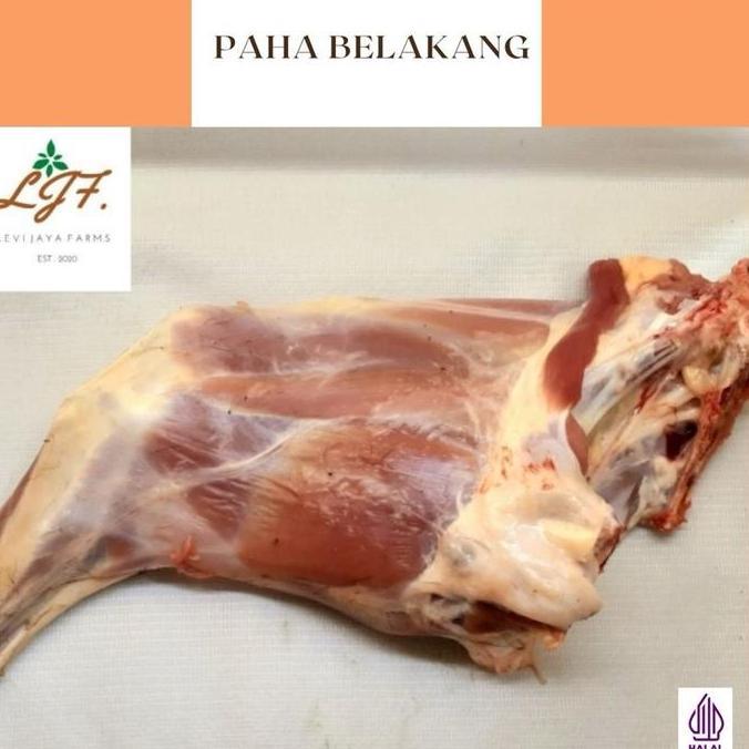 Terlaris Daging Kambing Frozen, Paha Kambing Belakang Utuh