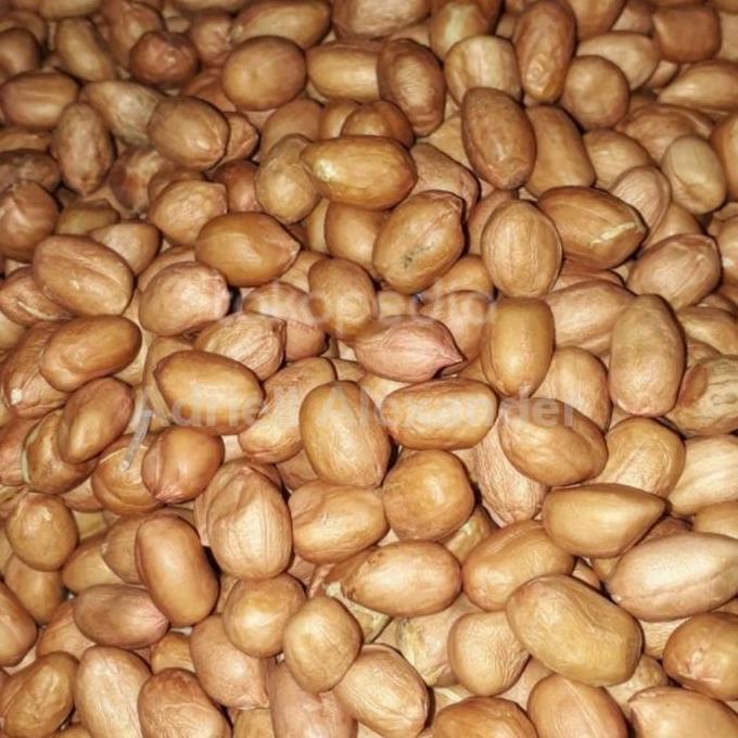 Kacang Tanah Asli Tuban 1kg