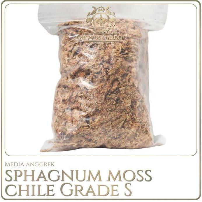 Orchids Garden Sphagnum Moss CHILE Chilean Sphagnum Moss GRADE S IMPORT Media Tanam Anggrek Spagnum 