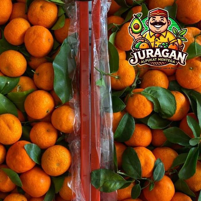 Jeruk Santang Mandarin Fresh Buah LC