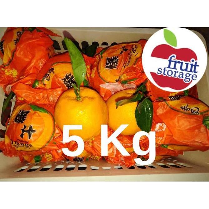 Jeruk Mandarin Chunjian / Dekopon / Sumo / Papagan LC