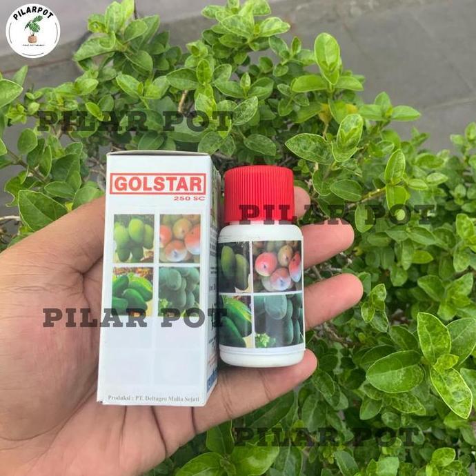 Gardensw- Pupuk Mempercepat Buah Goldstar 30Ml