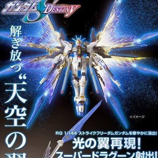 P.Bandai RG Wing Of Skies Sky light effect sayap Strike freedom gundam