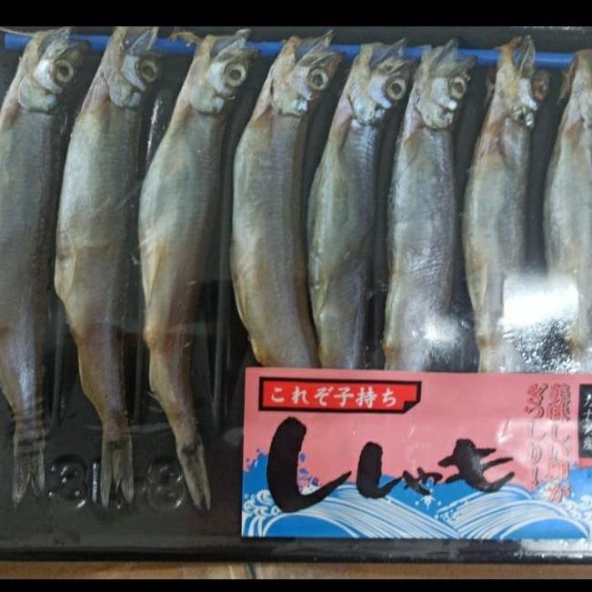 Enaknyoo- Shisamo Fish Ikan Shisamo Capelin Frozen