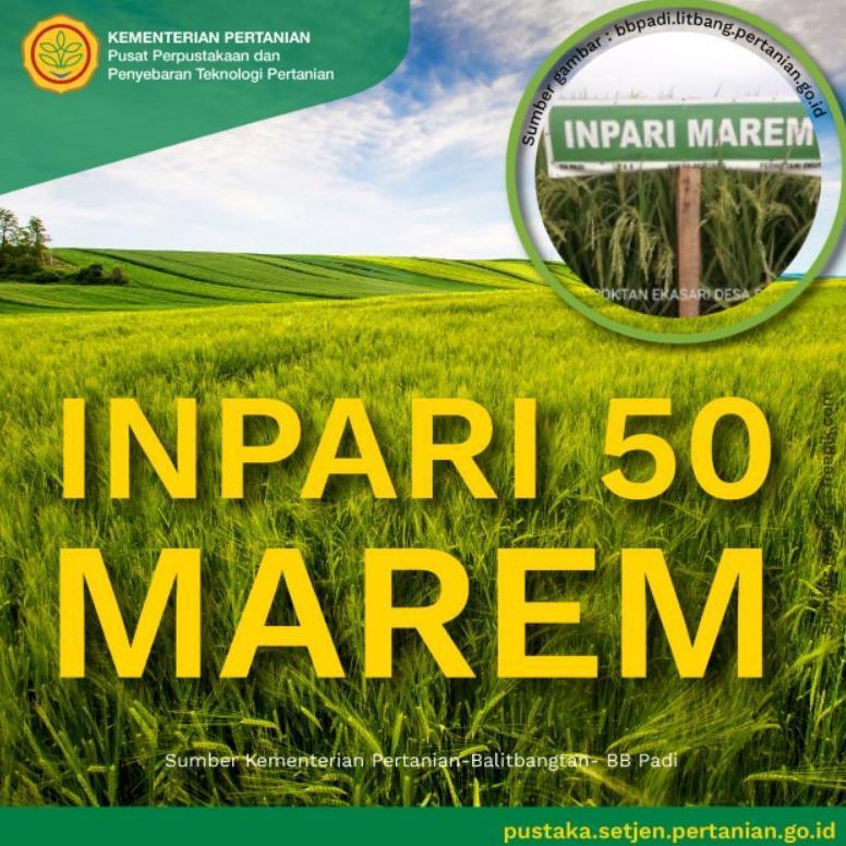 ARN Benih padi unggul inpari 50 marem bersertifikat label ungu kemasan 5kg