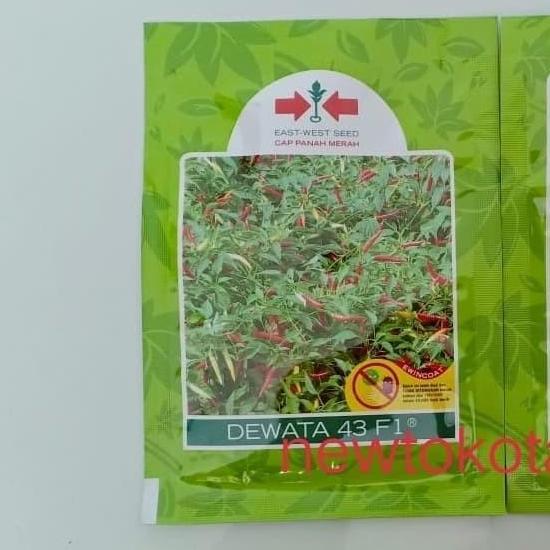 Allthebest- Benih cabe rawit DEWATA 43 F1 2.250 butir benih cabe rawit putih