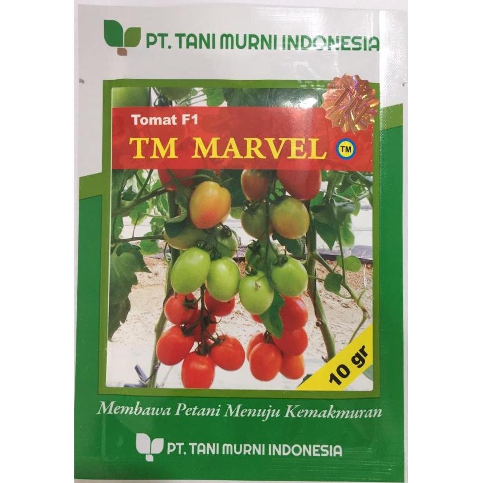 Allthebest- Tomat TM Marvel F1 10 gr