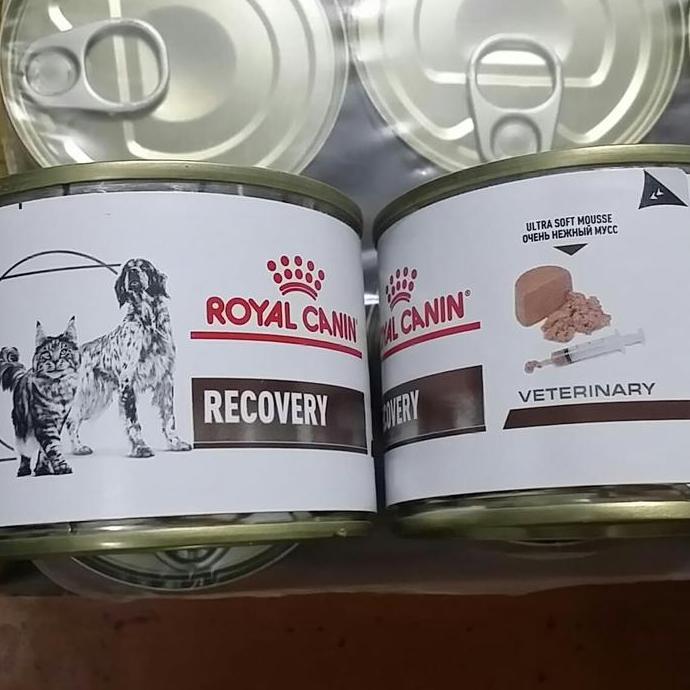 GROSIR Royal Canin Vet Recovery 195 Gram