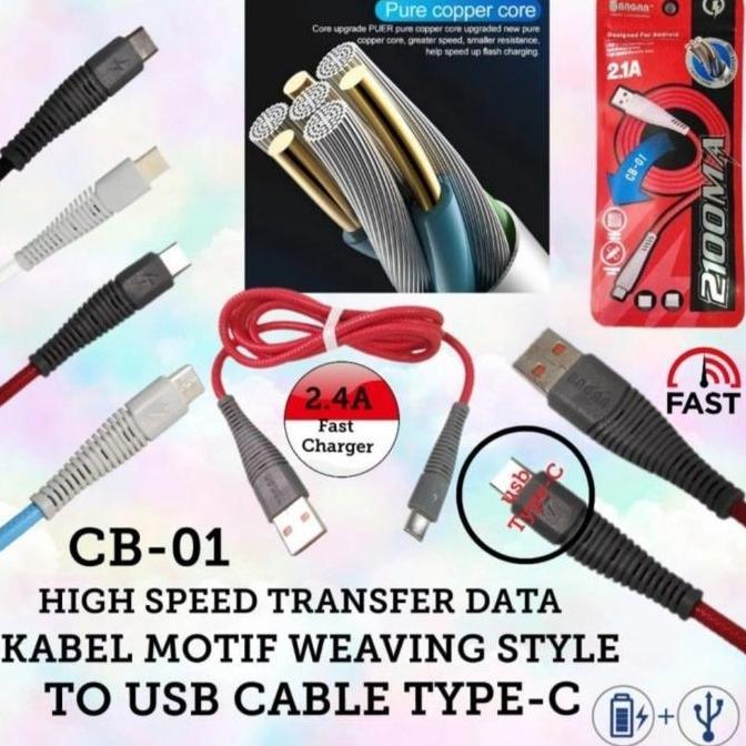 Kabel data kabel cas BAGAN CB-01 TYPE C