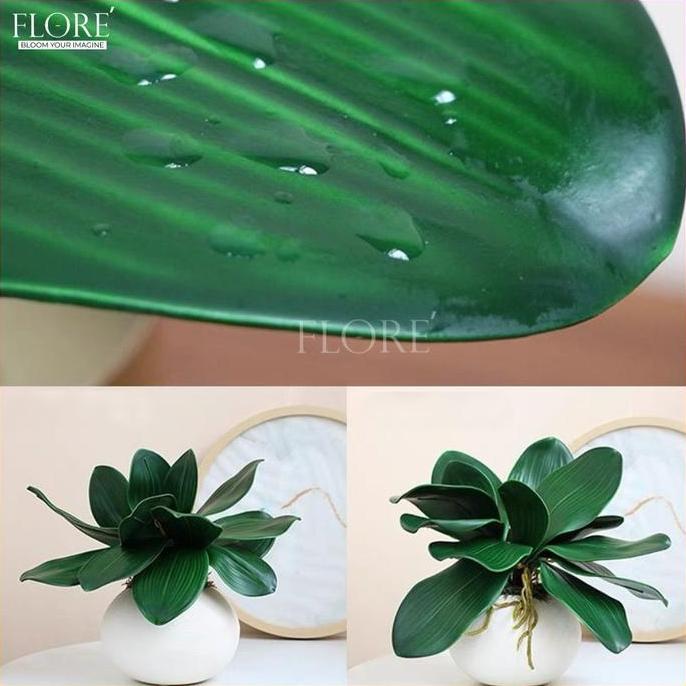 Daun Anggrek Latex [M] /Daun Anggrek Latex Jumbo/Daun Anggrek Artificial (KN-384)