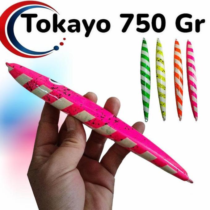 TOKAYO 800 GRAM METAL JIG