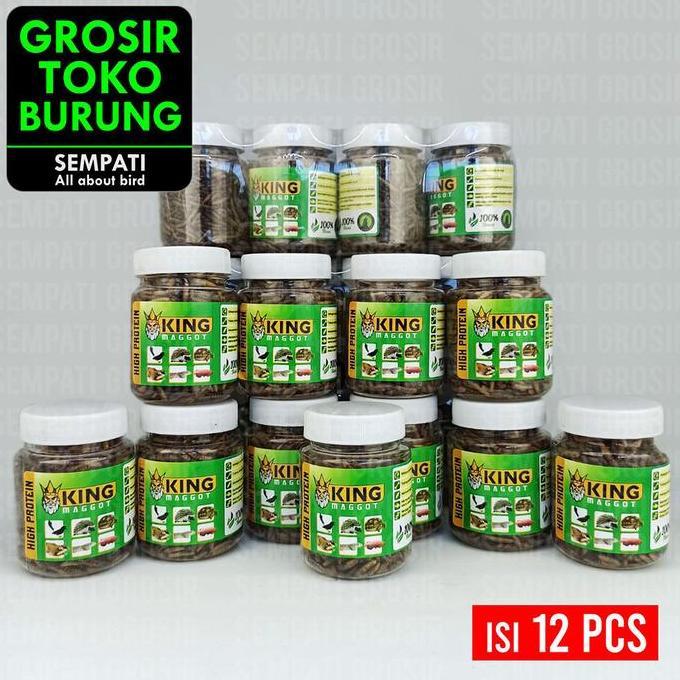 SEMPATI GROSIR MAGOT KERING KING MAGGOT SEMPATI 12 PCS BSF SUPER MAGOT MAGGOT KERING DRY FRESH MAGOT