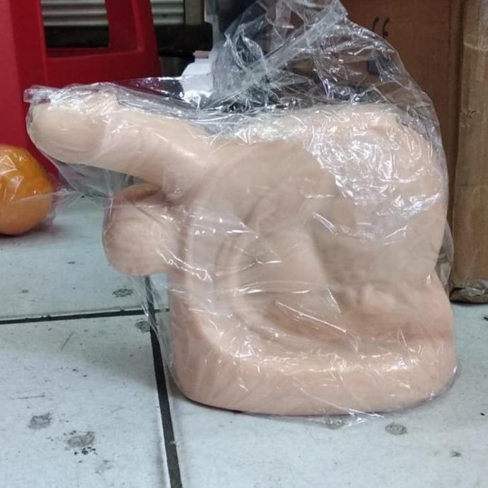 phantom kateter pria phantom catheter cowok manekin catheter manikin