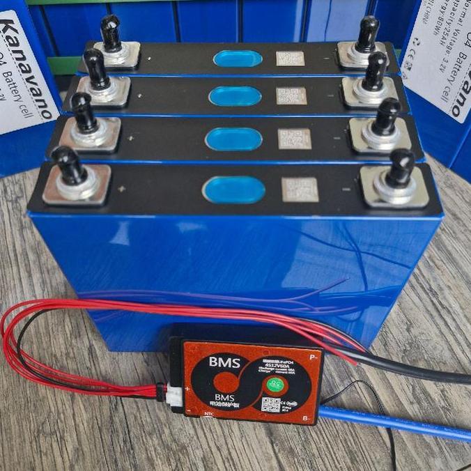 Baterai Lifepo4 50ah 12V New