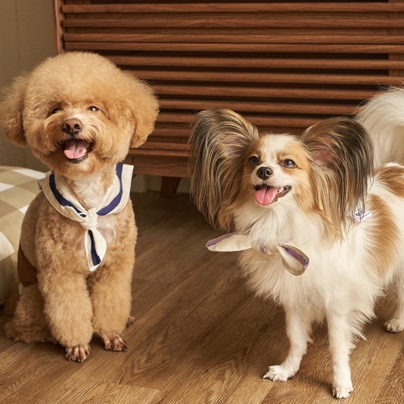 -VY- The Twilly Scarf 2.0 : Back to School Collection | Baju Aksesoris Scarf Bandana Anjing Kucing