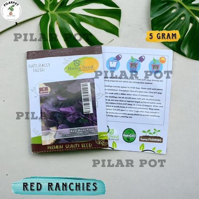 Benih Bibit Bayam Merah Red Ranchies Haira Seed - BAYAM RED RANCHIES
