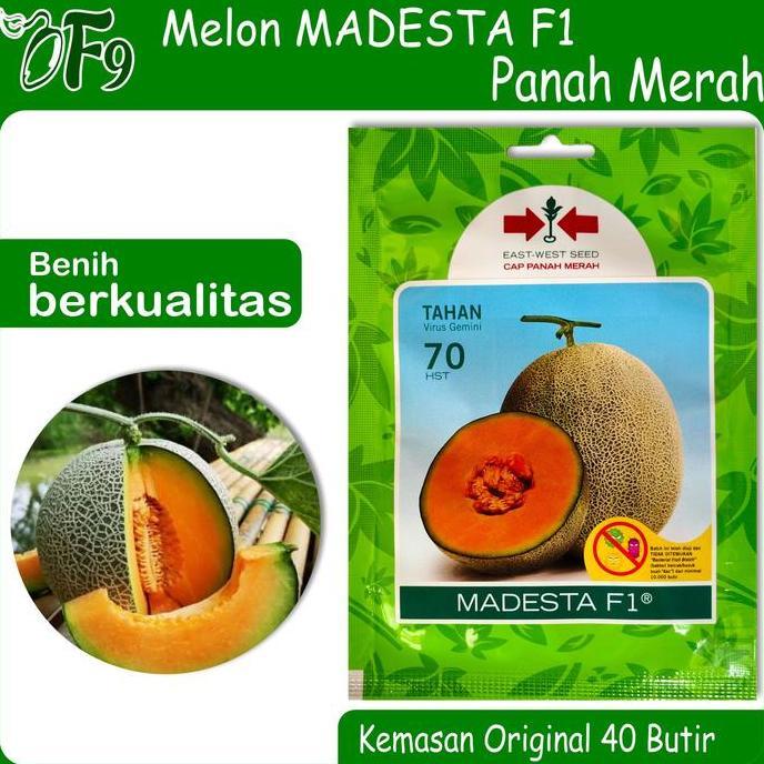 Benih Bibit Melon Madesta F1 40 Biji Cap Panah Merah
