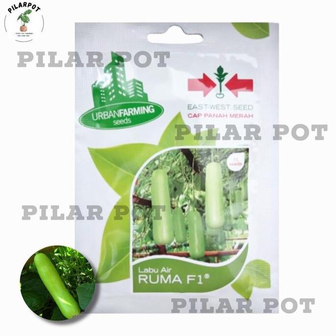 benih bibit labu air ruma f1 cap panah merah - LABU AIR RUMA F1