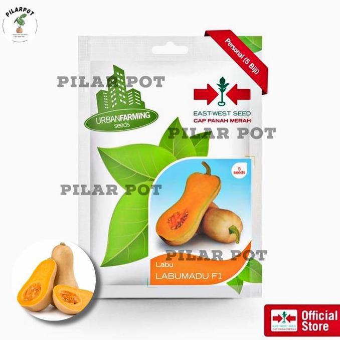 benih bibit labu madu f1 cap panah merah - LABU MADU F1