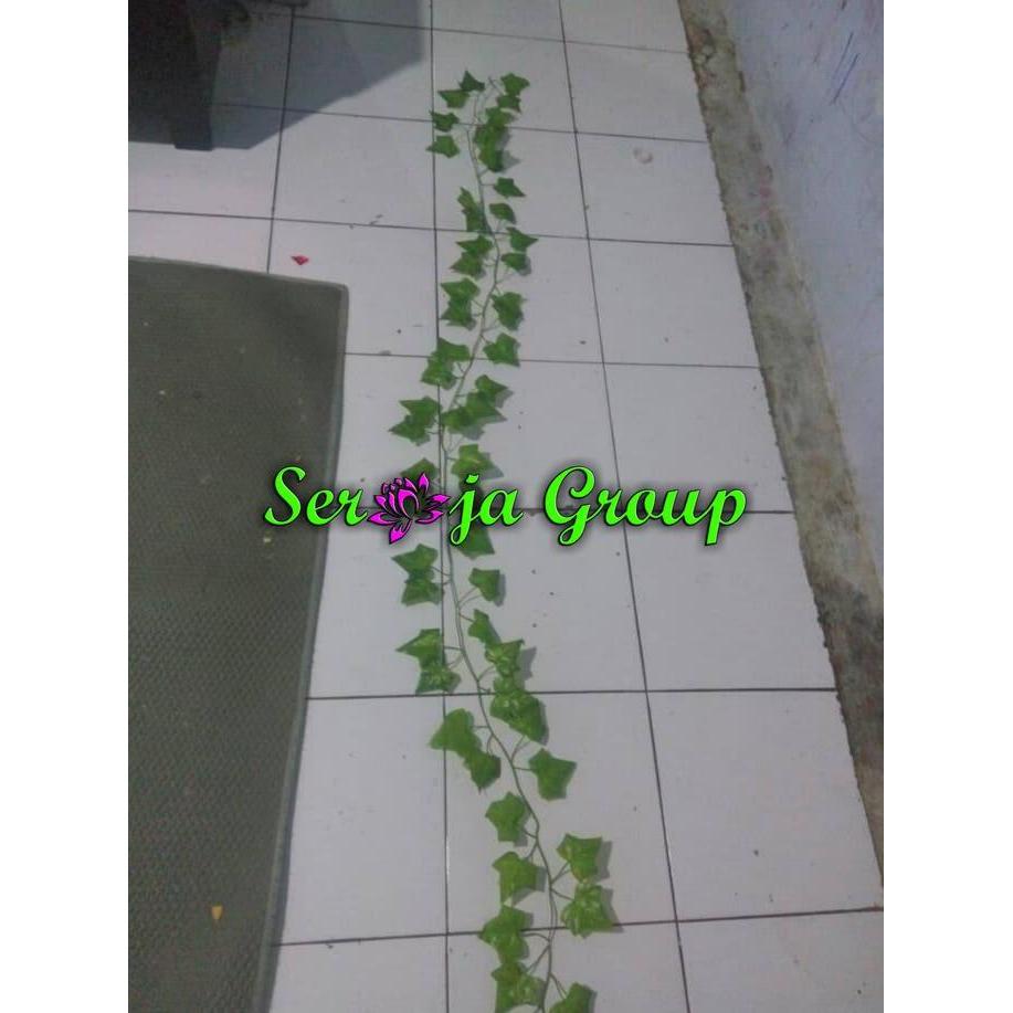 Daun Merambat Plastik | Artificial Leave | Tirai Tanaman Rambat Palsu