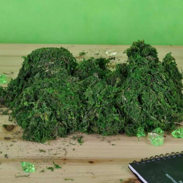 lumut HIJAU PREMIUM artificial 1 kg lumut kering rumput halus sintetis