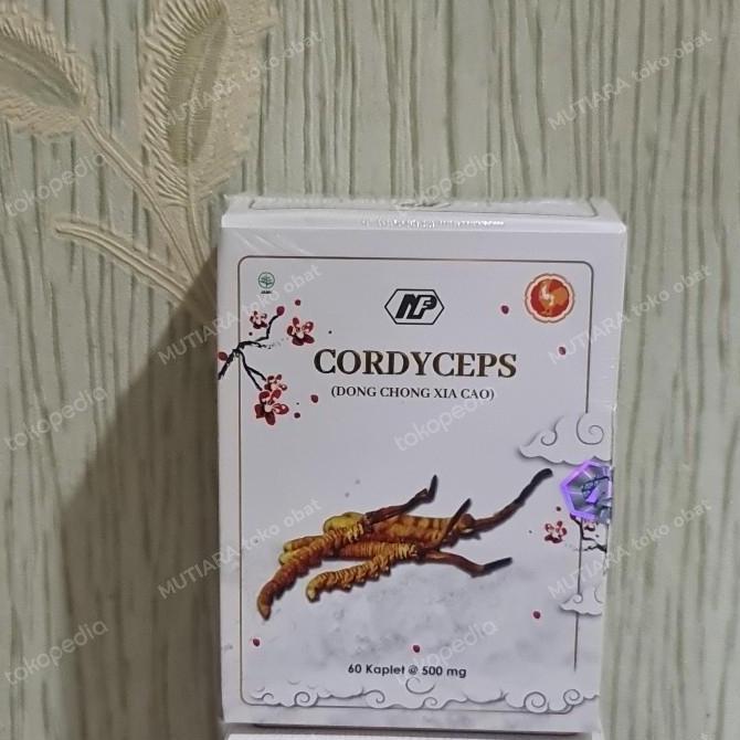 NEW dong chong xia cao cordyceps