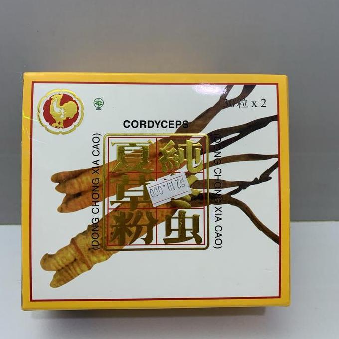 Cordyceps - dong chong xia cao