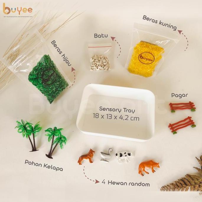 BUYEE GIFT - SENSORY PLAY | Sensory Bin hewan | Mainan Montessori Beras dan Hewan Best Seller