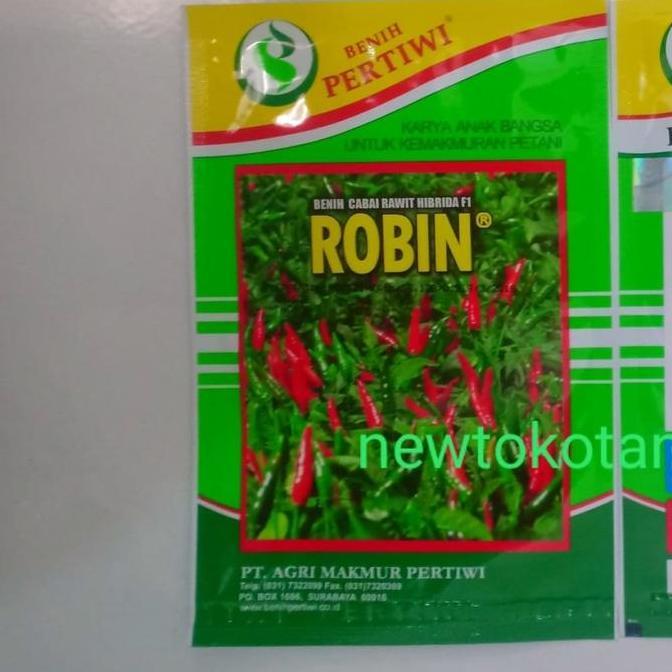 Promo Benih cabe ROBIN F1 10 gram benih cabe rawit hijau hibrida dari benih pertiwi cabai rawit hija