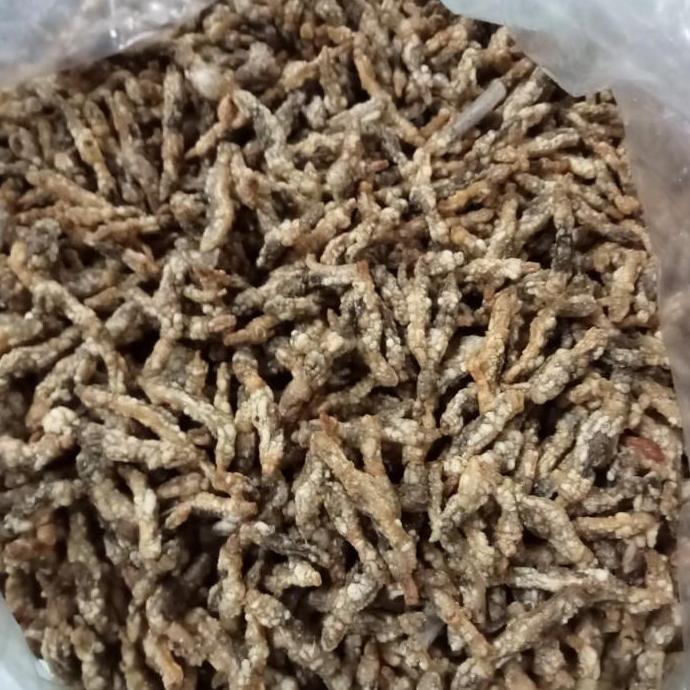 Lorjuk Goreng Siap Saji