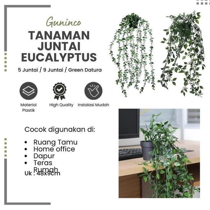 Promo Guninco Tanaman Juntai Eucalyptus - Tanaman Hias Plastik Aesthetic - Tanaman Gantung - Tanaman
