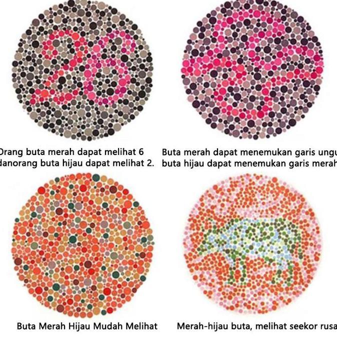 WAITEKNO Kacamata Buta Warna Bisnis Bingkai Persegi Pria Wanita
