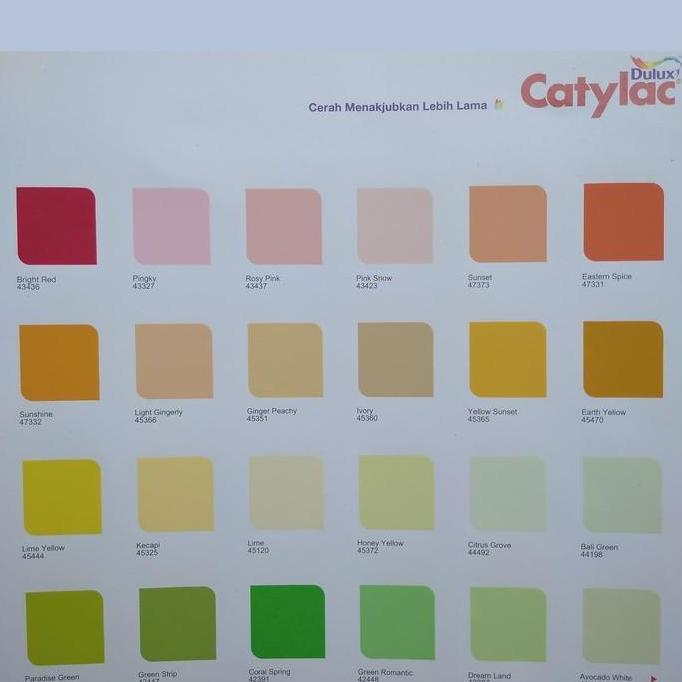 Cat Tembok Catylac 25 Kg