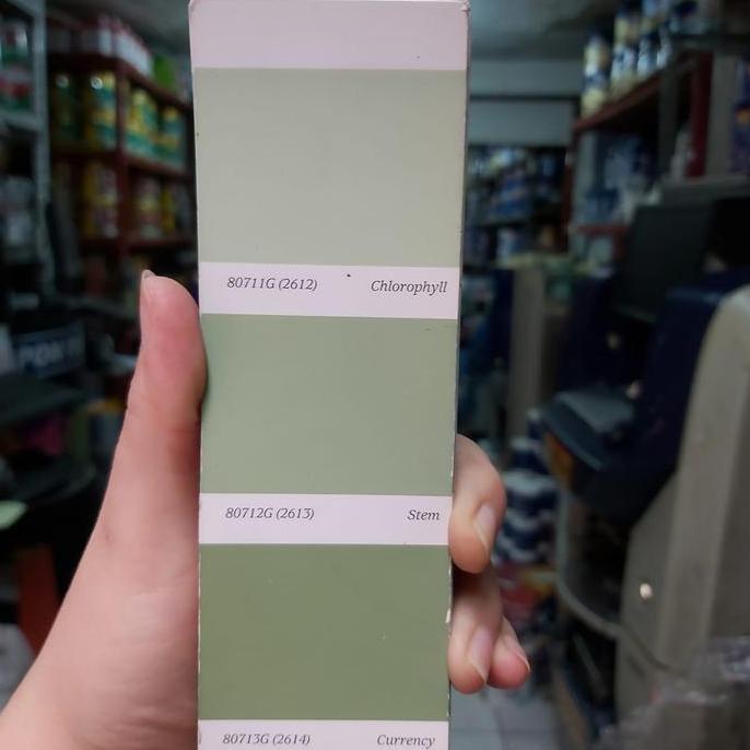 Cat Tembok Interior Envi 80712G Stem 25kg