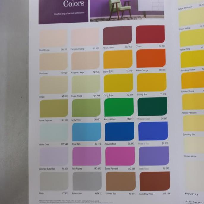 Cat Tembok Luar/Exterior Propan Eco Shield 25Kg