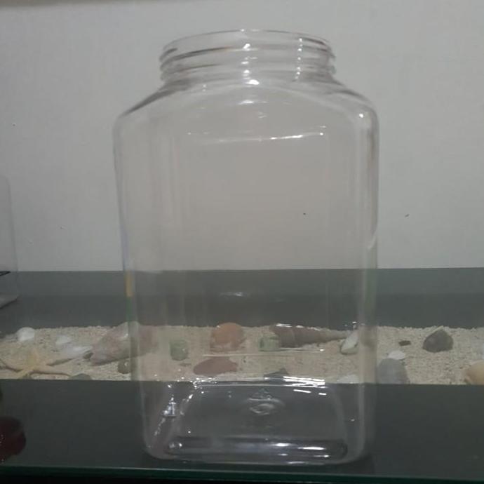 Toples Plastik Ikan Cupang 4 Liter Tanpa Tutup