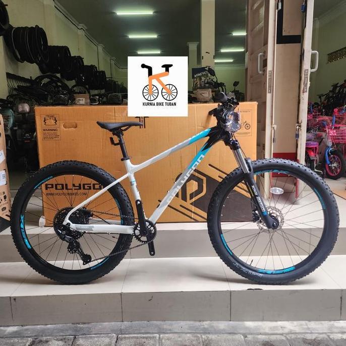Terlaris Sepeda Mtb Polygon Xtrada 5