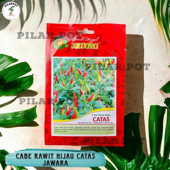 Benih Bibit Cabe Rawit Hijau Benih Unggul Jawara - CABE RAWIT CATAS