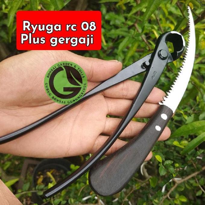 Catok bonsai RYUGA RC model cembung Carbon