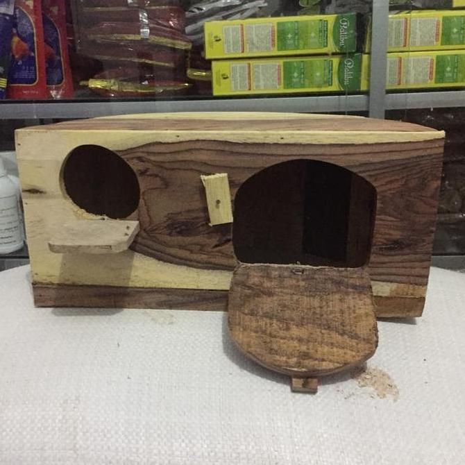 Bisadong- Glodok Ternak Lovebird - Glodokan Oval Sangkar Lovebird - Glodok Kayu