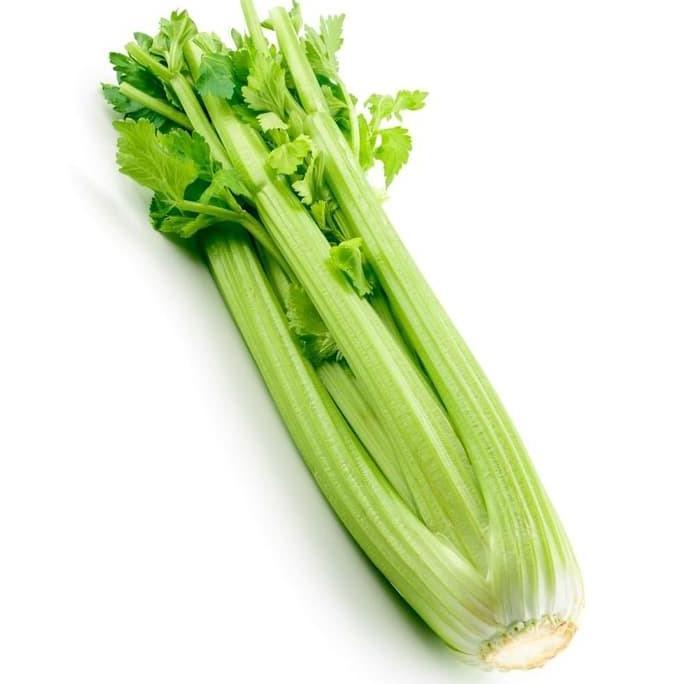 Naturalbig- Celery Stick Impor - Bakoel Sayur Online