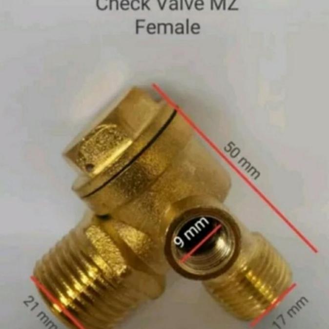 Autopic- Check Valve Kompresor (Drat Dalam )Untuk Kompresor Listrik