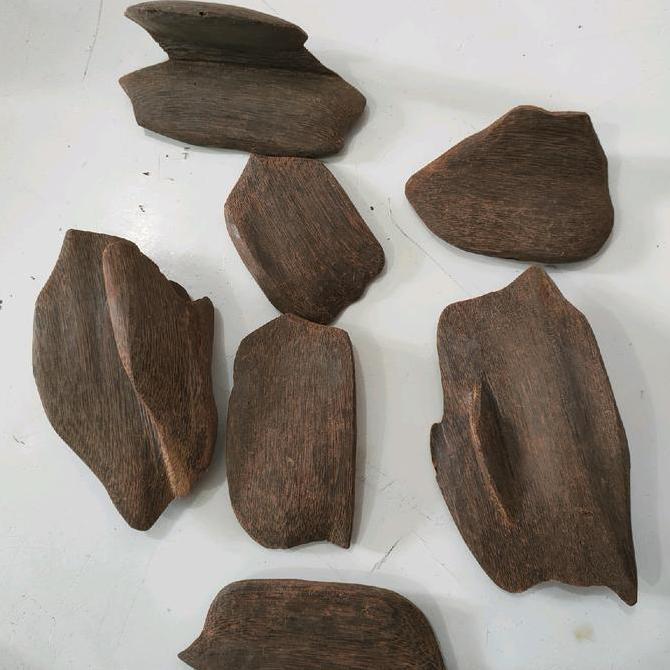 kayu gaharu papua indonesia