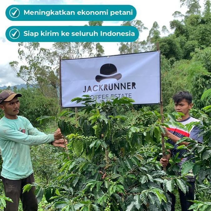 green beans biji kopi arabica gayo wine specialty