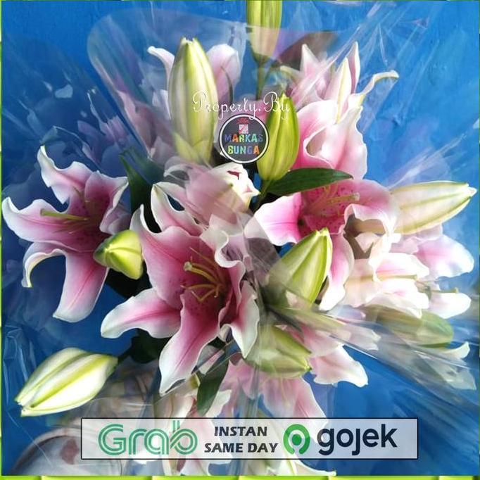 Lansungkirim- Bunga Lily Casablanca / Bunga Lily Asli Fresh