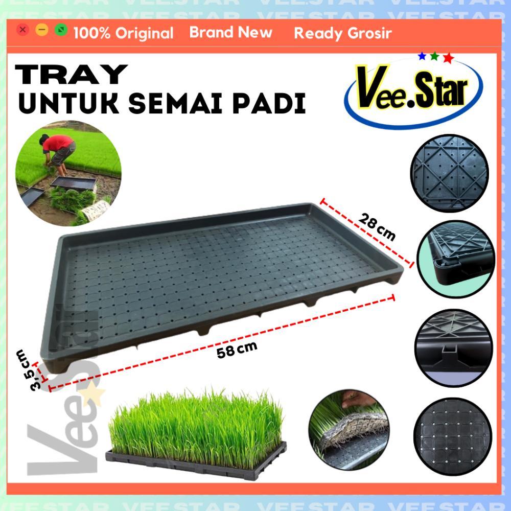 Bisa Cod Tray Semai Bibit Padi / Rice Seedling Tray ><