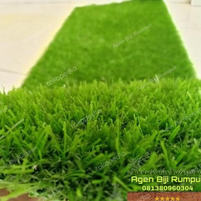 Rumput sintetis Swiss - Karpet sintesis Swiss 25x25cm